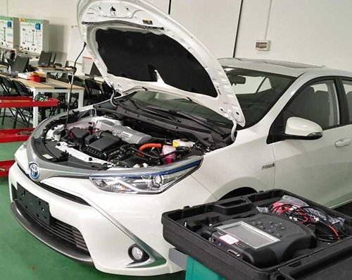 电话：0817-3601615